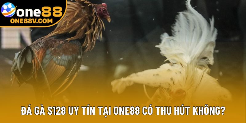 Đá gà S128 uy tín tại One88 có thu hút không?